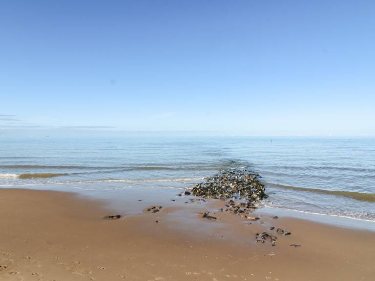foto20