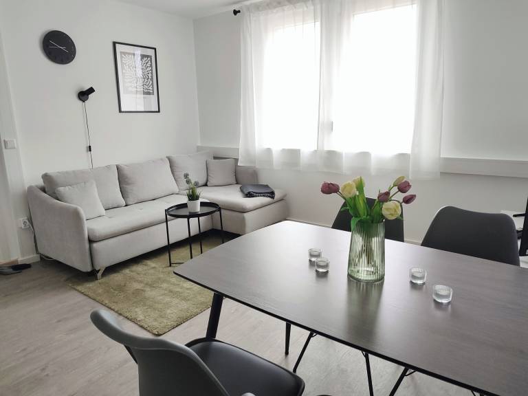 Apartment Heidelsheim