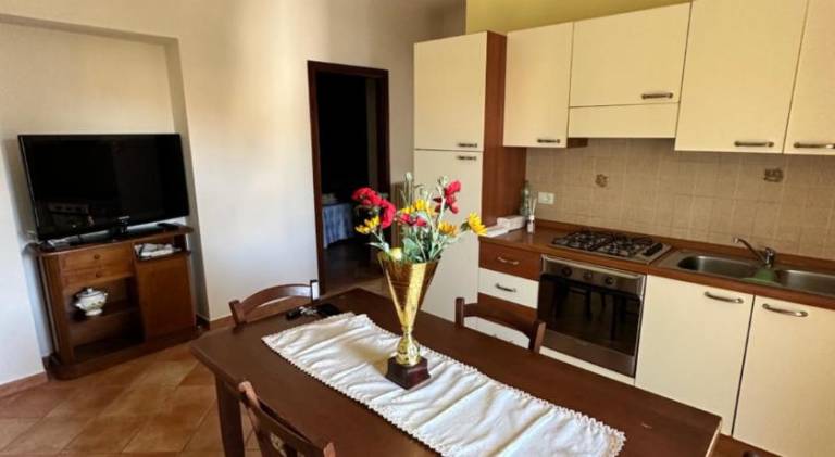 Nice holiday apartment | Dogs allowed in Fiano Romano