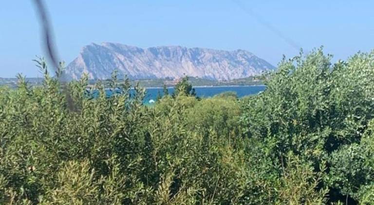 Beautiful villa | Dogs allowed in San Teodoro