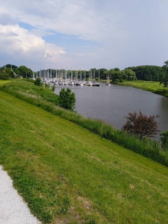 foto37