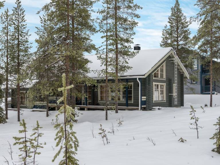 House with sauna — photo 2