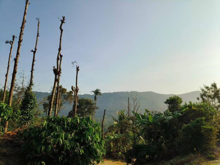 Mountain View Homestay in Madikeri