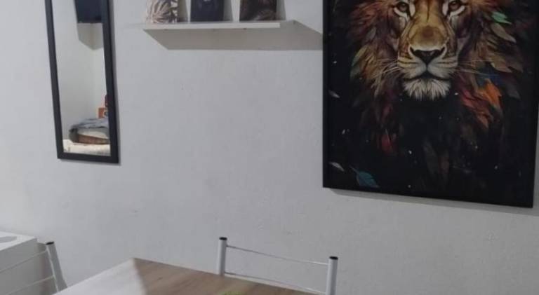 foto8