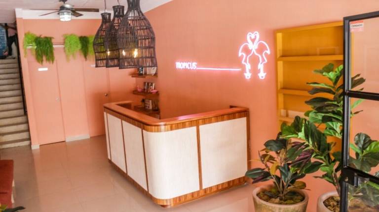 Hotel Tropicus Boutique — photo 5