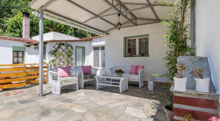 House with patio & yard — photo 5