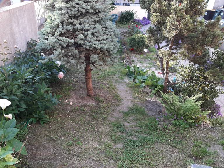 foto22