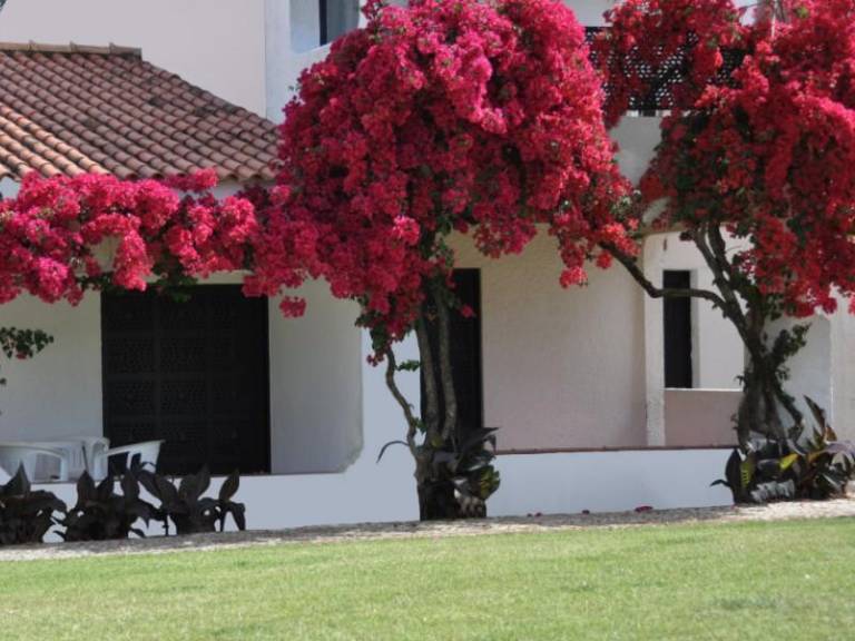Family-oriented wonderful rental apartment with garden, pool & patio | Dogs allowed — photo 3