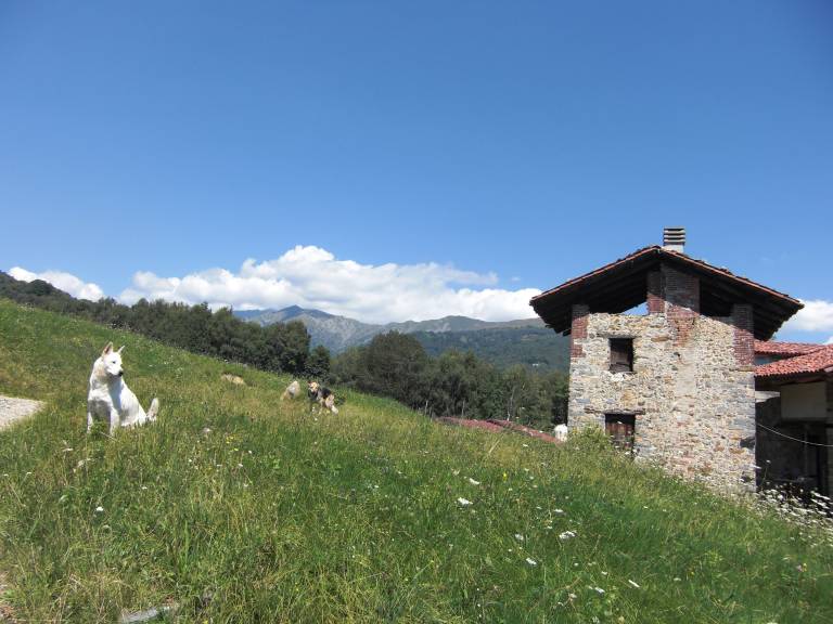 foto10