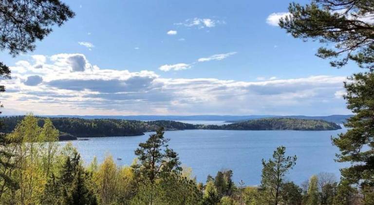 Bed & Breakfast Moss