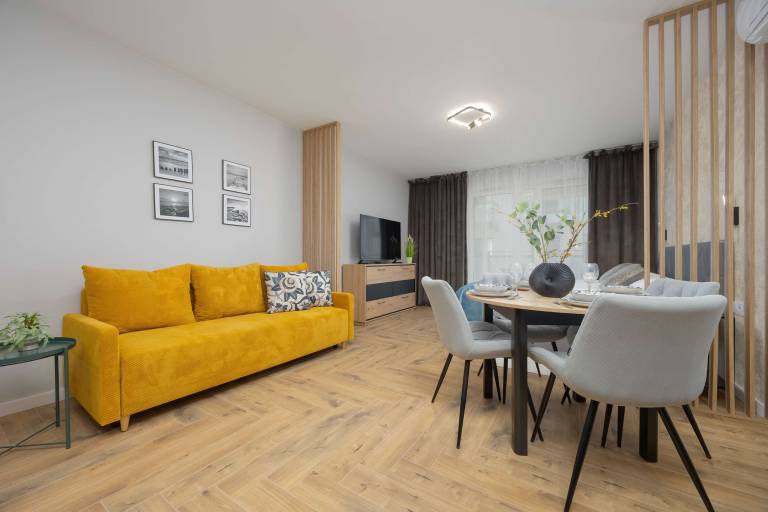 Studio flat Praga