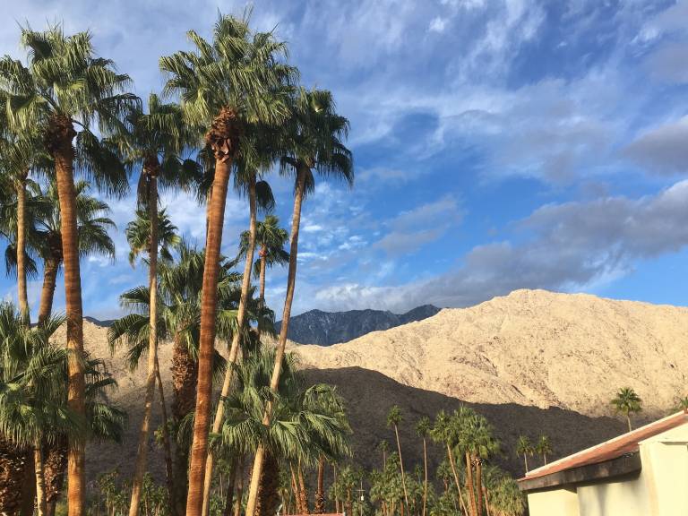Mieszkanie Palm Springs