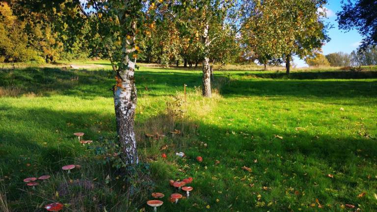 foto11