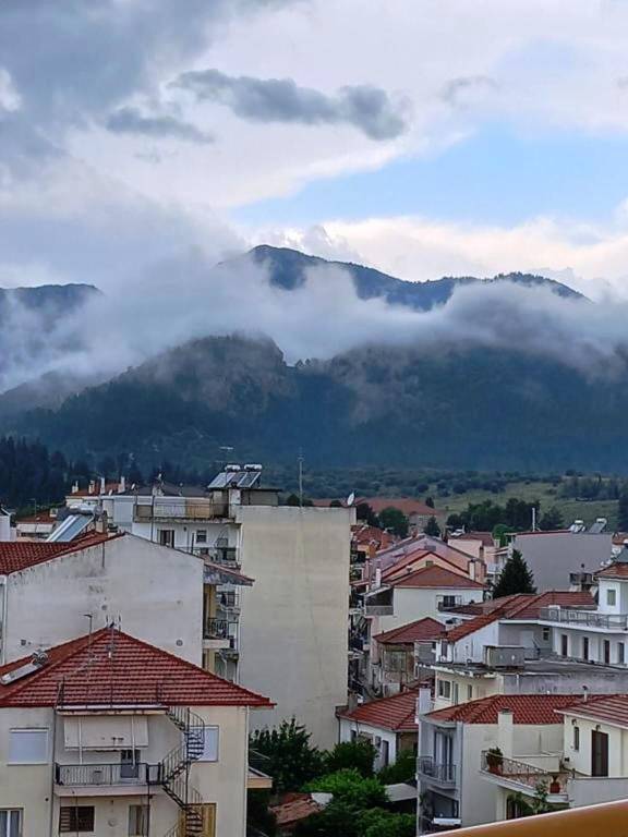 Διαμέρισμα  Βουνό