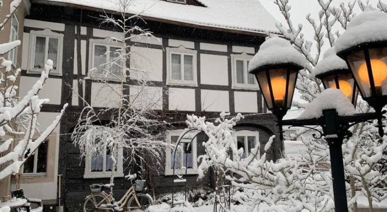 Villa Mandaugold Pension und Ferienwohnungen — photo 3