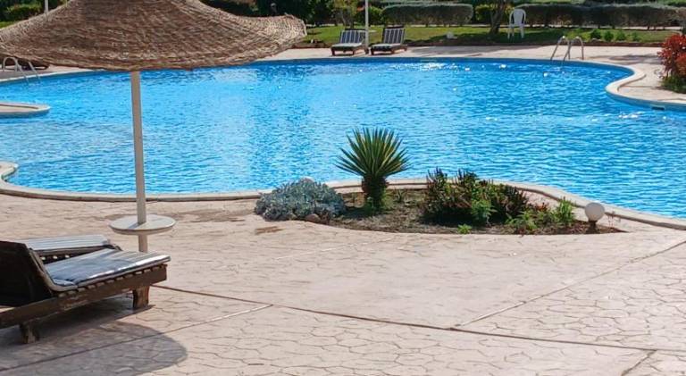 Pleasant apartment with pool | Pet-friendly — photo 5
