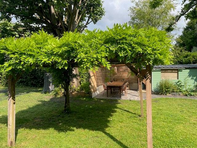 foto26