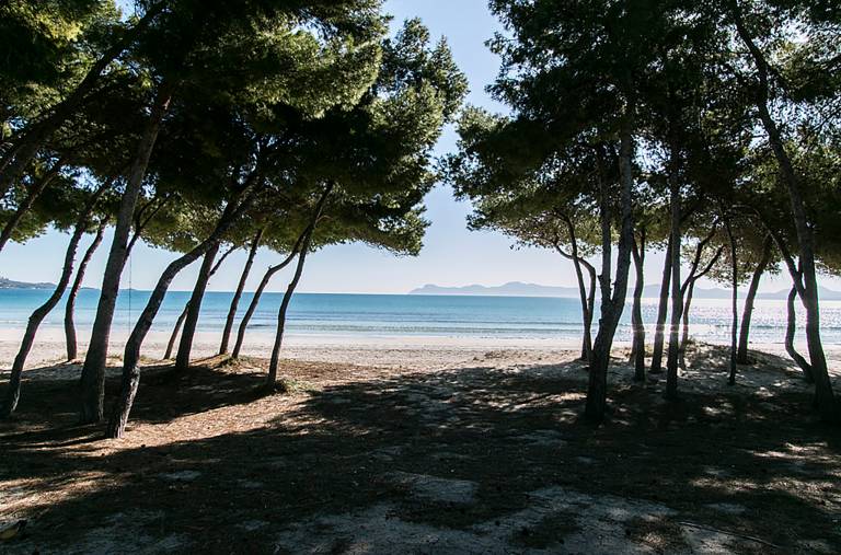 foto40
