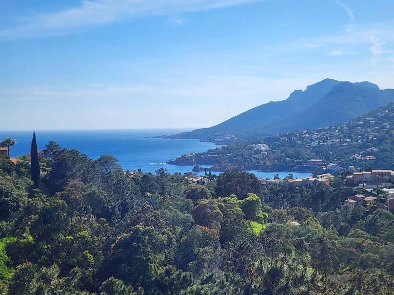 Magnificent 2p sea view and swimming pool — photo 5