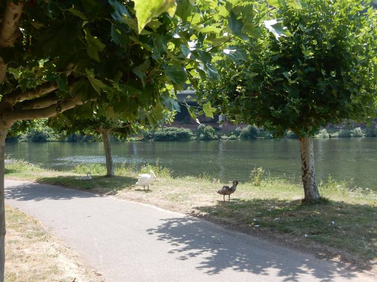 foto19