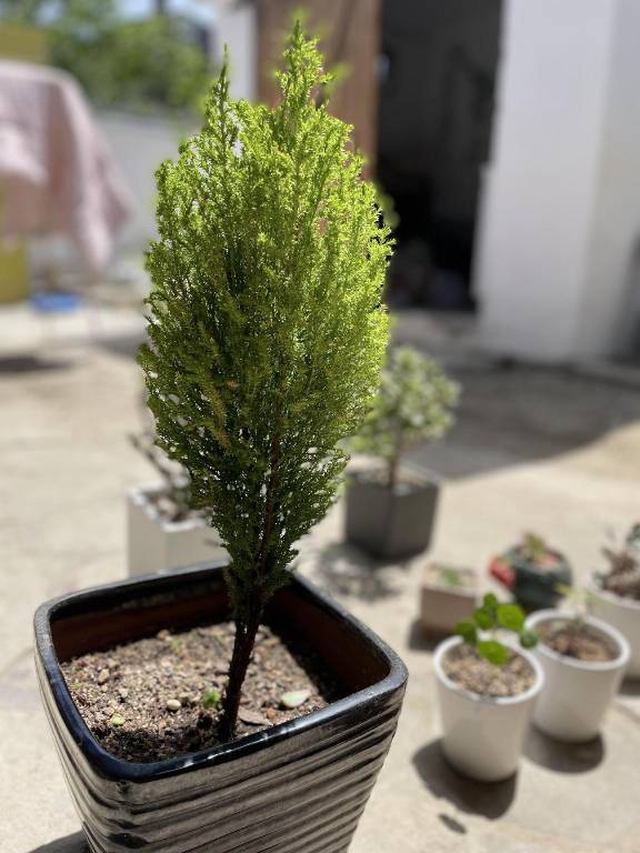 foto11