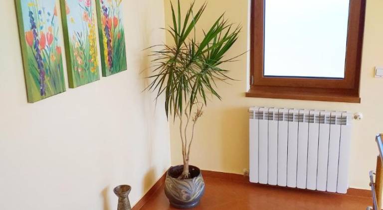 Стаи за Гости Lavender Lozen — photo 5