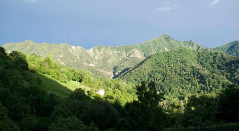 foto41