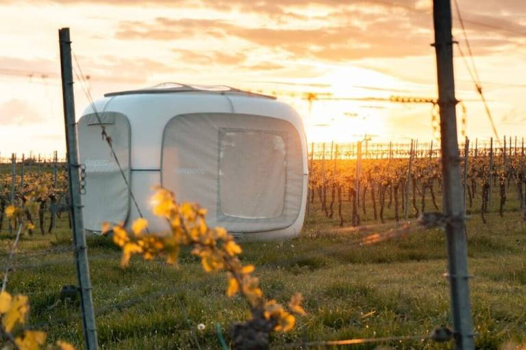 Romantik zwischen Weinreben Cube