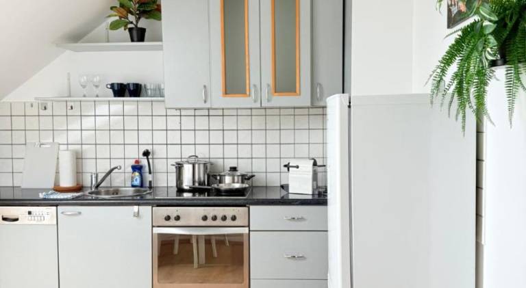 Rental apartment | Pets are welcome — photo 2