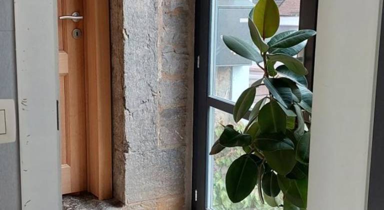 Lovely house | Pets are welcome — photo 3
