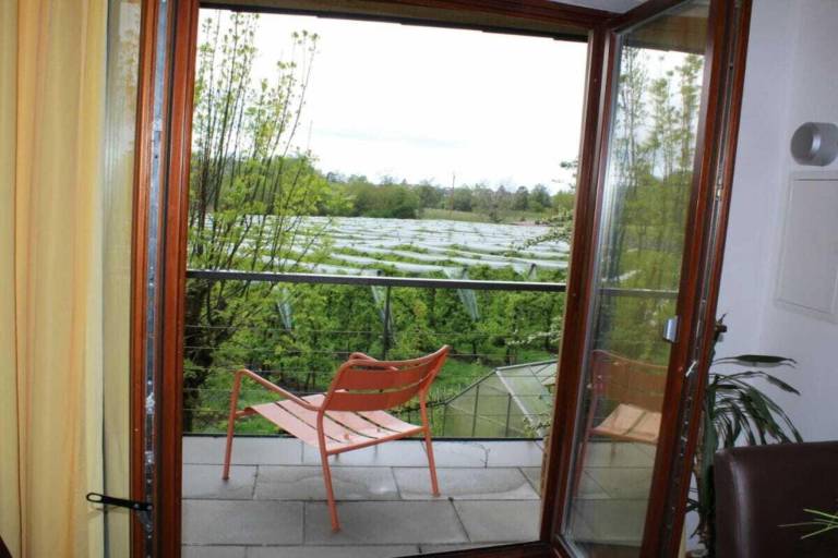 House with patio & yard — photo 4