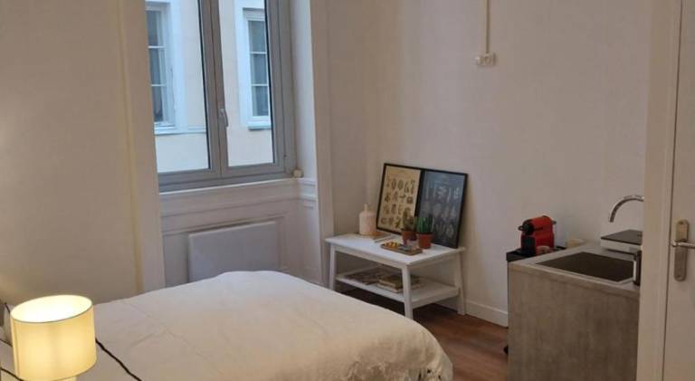 Holiday apartment | Near Lyon Cathedral | Pets allowed — photo 2