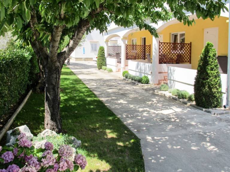 foto15