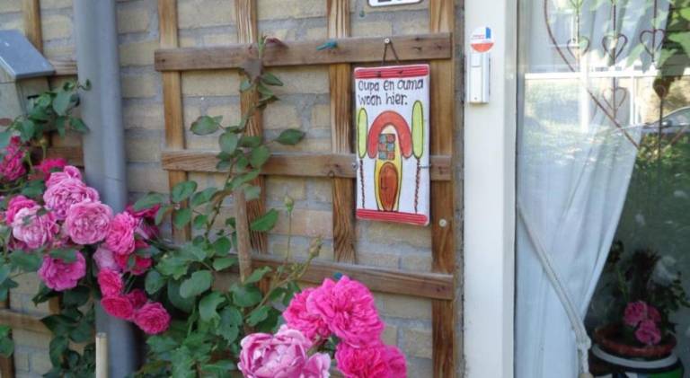 foto31