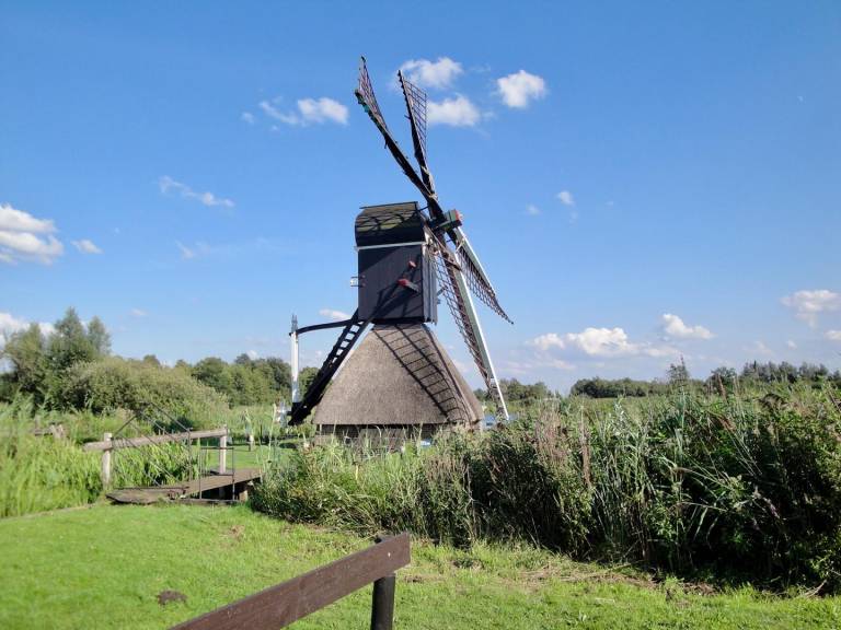 foto13