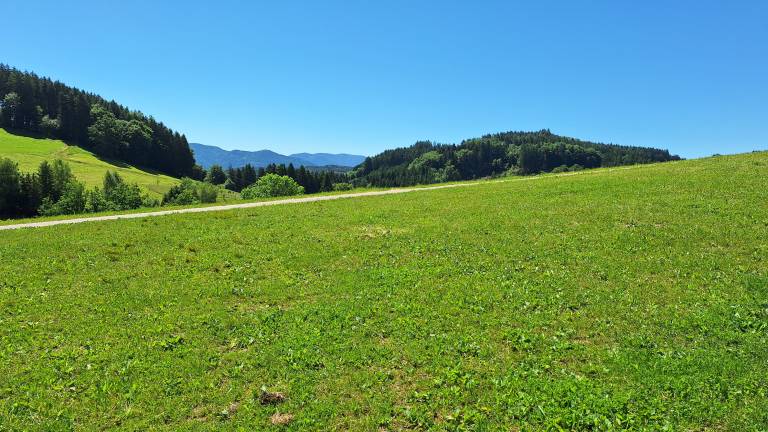 foto14