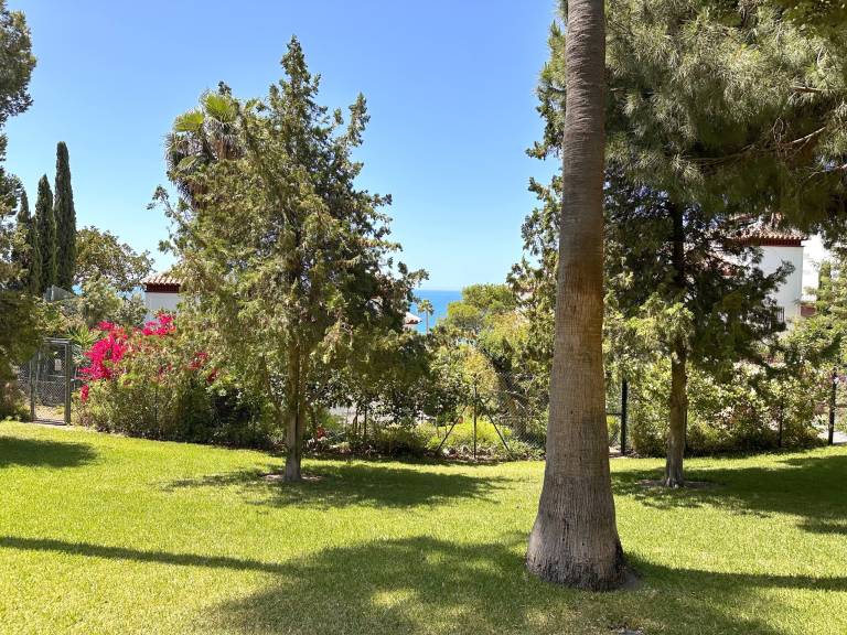 foto40