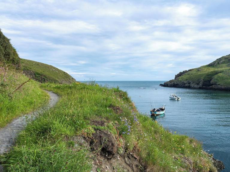 Cottage  Abercastle
