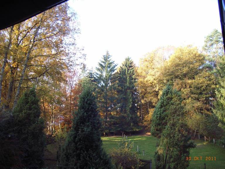 foto6