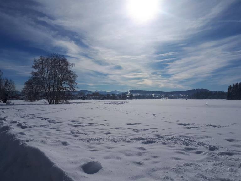 foto12