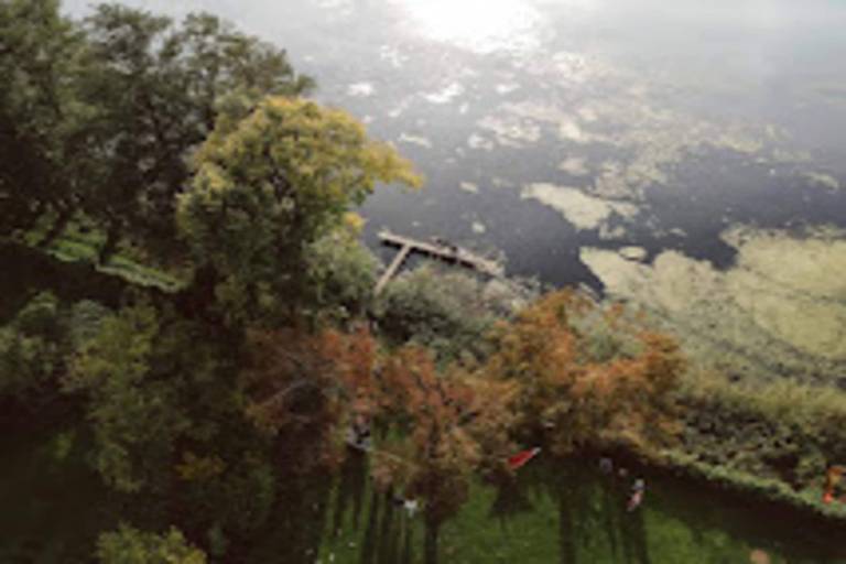 foto17