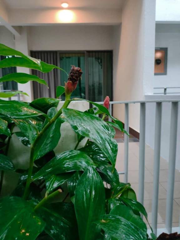 foto15
