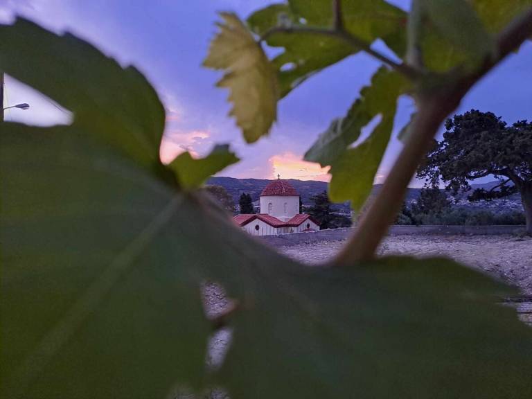 foto22