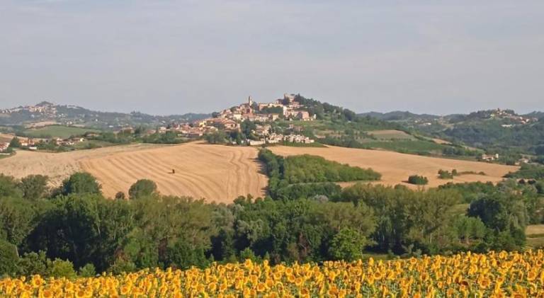 Il Casale