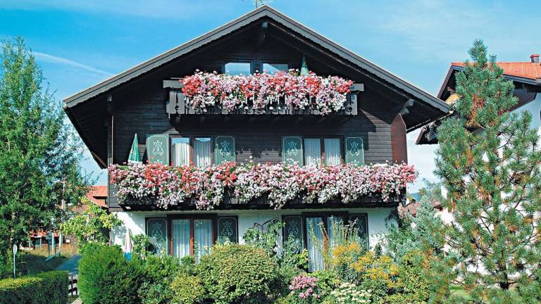 Ferienwohnung  Steibis