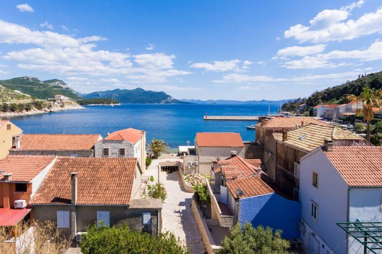 Ferienhaus  Trstenik