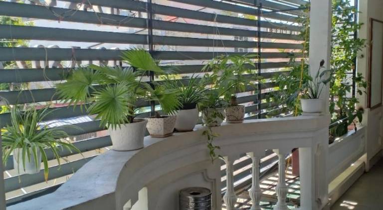 Blue Sea 2 Hotel Nha Trang — photo 4