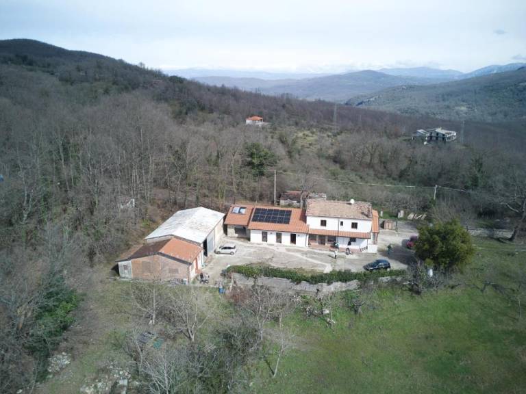 Agriturismo Li Guira – Natura, uliveti ed esperienze autentiche nel Cilento — photo 3
