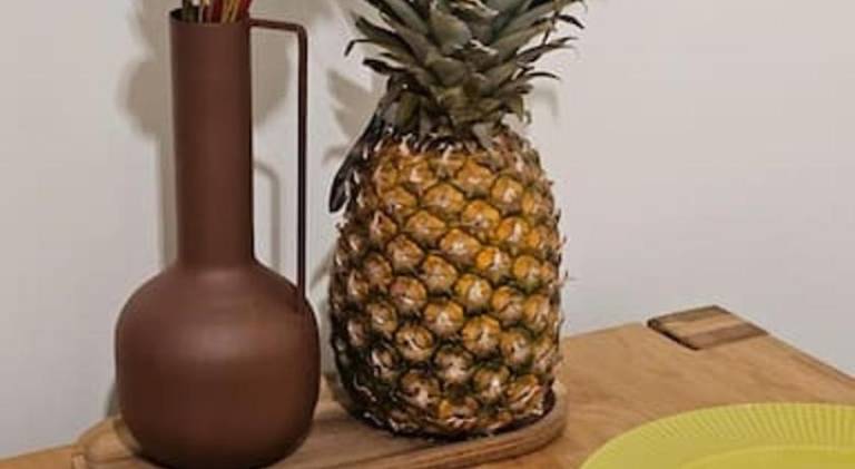 Holiday apartment | Pet-friendly — photo 5