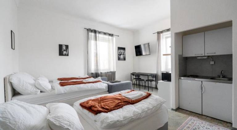 Rental apartment with 1 room for 3 persons in Leoben